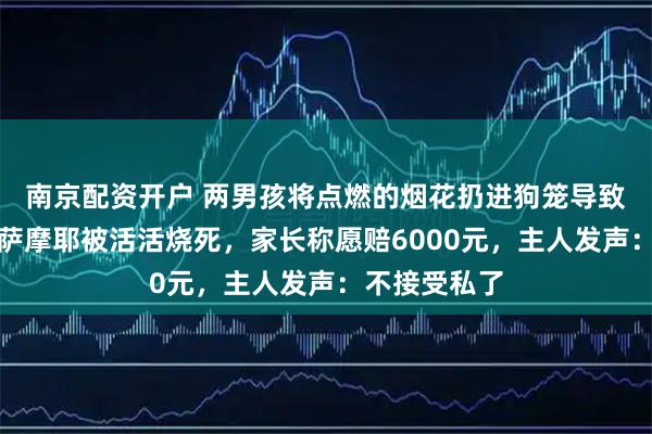 南京配资开户 两男孩将点燃的烟花扔进狗笼导致笼子起火，萨摩耶被活活烧死，家长称愿赔6000元，主人发声：不接受私了